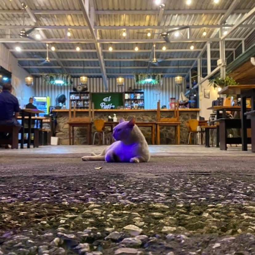 Patio exterior del restaurante de noche con luces